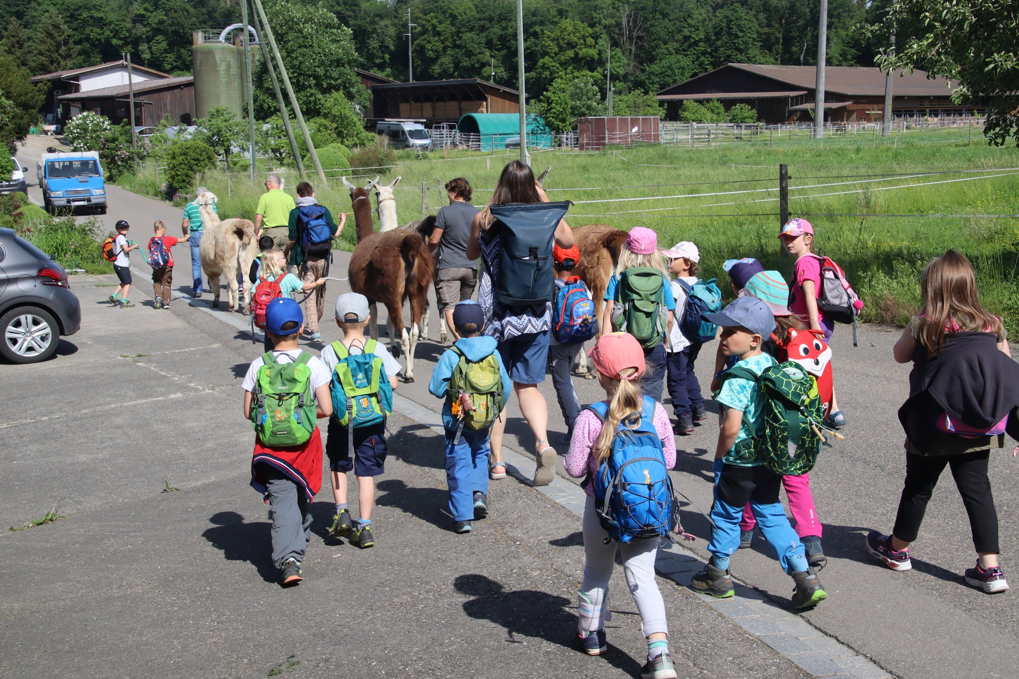 Kindergarten auf dem Bauernhof: Mit Lamas auf Du und Du