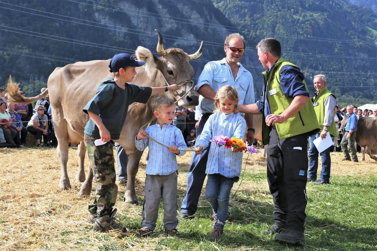 e8a718b4518e951d2f0fa9d815ad230e18309a45 Die Urner Züchterfamilien präsentierten stolz ihre Tiere: Wie die Familie Kari Marti aus Bürglen mit Kuh Vreni. (Bilder Reto Betschart)