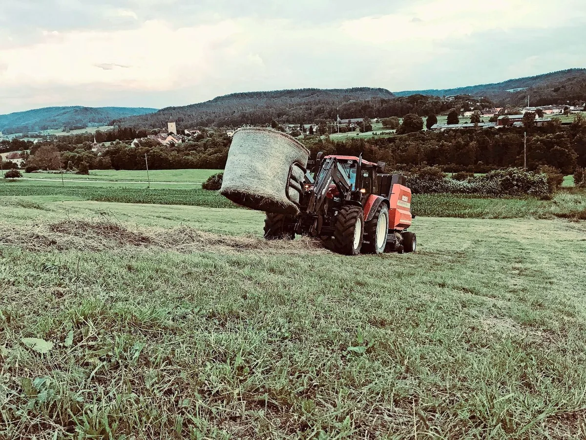 16049ada4debd610a3fd1d7ee974e9b3f4d5aab477fc76c03e7c413521a25cc8 Enea Zimmermann erntet Heu in Deutschland und kommt in die Zollkontrolle
