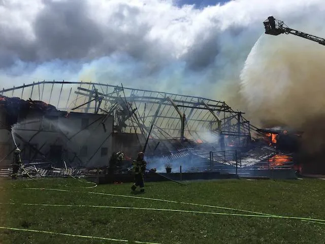 38a3714efed5060dc9b11a5d4c324f9072c61b08 Das Bauernhaus konnte nicht mehr gerettet werden, dafür alle Bewohner (Menschen und Tiere). (Bild Kantonspolizei Freiburg)
