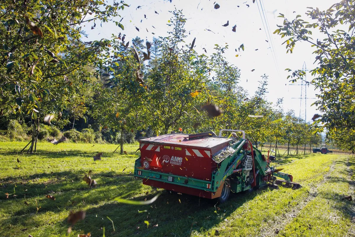 54d8f9c42c4d89e459e2ffe73dffc00e7abceffe Die R17-Nuss-Erntemaschine aus Grenoble in vollem Einsatz. Ein Separator bläst das mit den Nüssen aufgelesene Laub nach draussen. Bild: Gian Vaitl