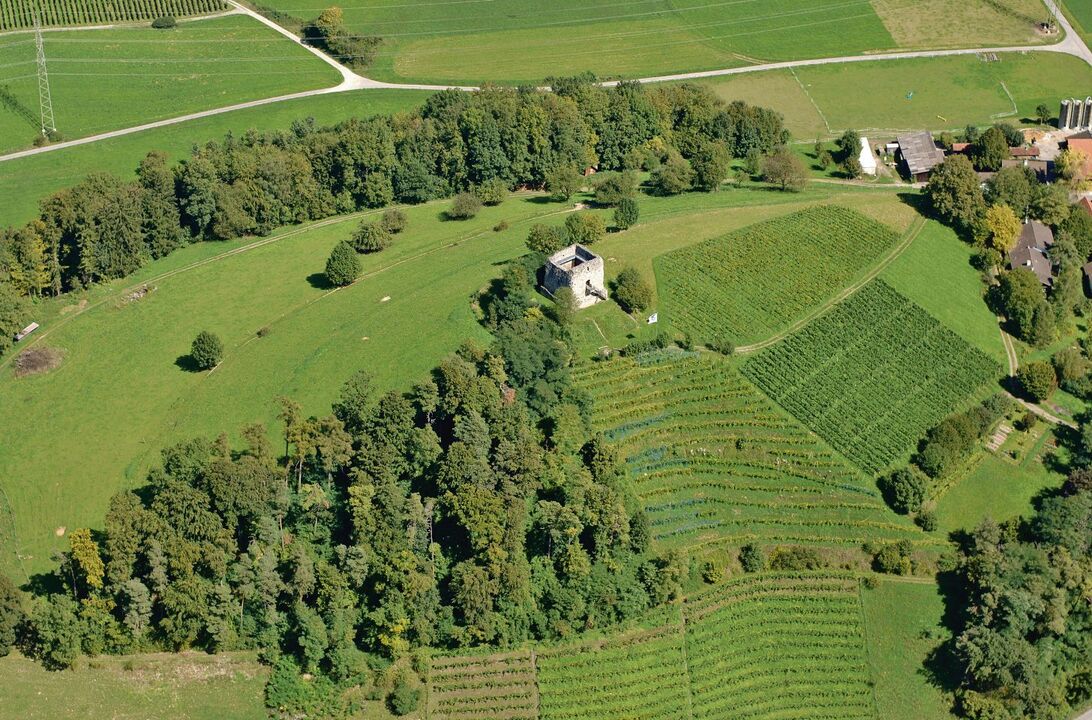 Im Unteren Tösstal prägen Reben, Wiesen, Weiden und Ackerflächen das Landschaftsbild. Das soll erhalten werden, aber nicht mit noch grösseren Auflagen.