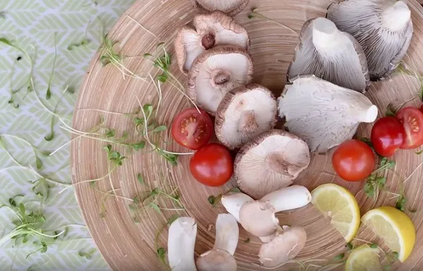 2e071b50c5e8c0e8dc601b9e4f1498e52362d041 Pilze gewinnen als Fleischersatz immer mehr an Bedeutung. (Bild Champignons Suisses Pilze)
