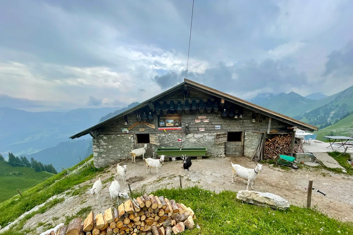 7a7e0ae3baec198b0b9a38d2652905bbc4f0f628 Gewitterstimmung auf der Alp Obriste Morgeten zwischen Simmental und Gantrisch. (Bild: Jürg Vollmer / «die grüne»)