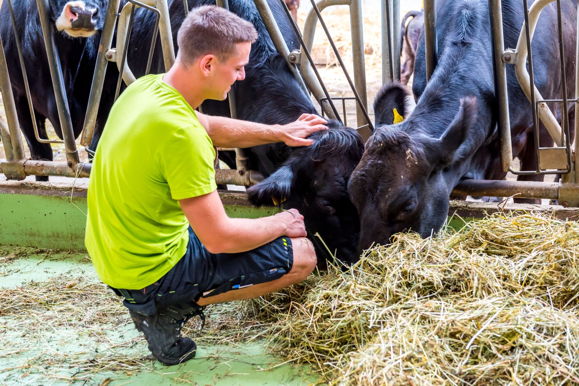 Bio-Betriebs-Check für Landwirtschaftsbetriebe