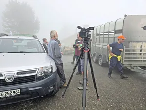 Ein schwieriger Tag für alle Beteiligten: Andreas Grossen (links) gibt die Schafe frühzeitig zurück ins Tal. Ein Luchs hat sie trotz Vergrämungsversuchen fast täglich angegriffen.