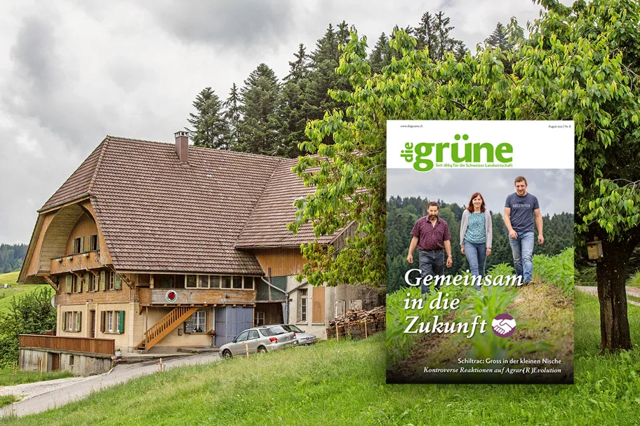 Im August Heft von «die grüne» wird unter anderem das Thema selektives Trockenstellen behandelt. (Bild DG)