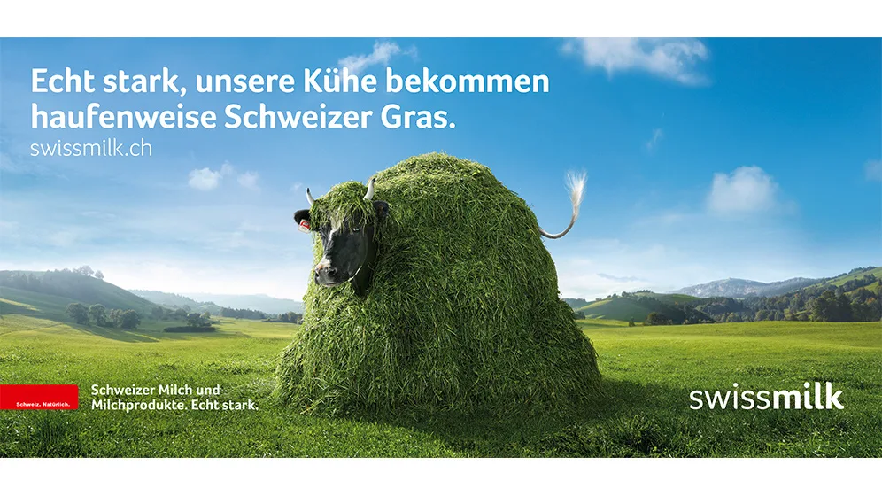 Die Sujets der neuen Werbekampagne für Schweizer Milch: Lovely bekommt etwa haufenweise Gras... (Bilder Swissmilk)