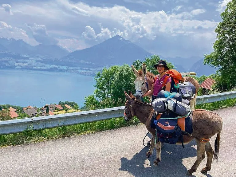 Unterwegs über dem Thunersee: Sofia Benagli mit dem 7-jährigen Wallach Leopoldo und der 19-jährigen Eselin Batuffola. Im Hintergrund der Niesen.