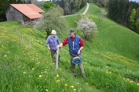 130882ec07ab25c22ce63e3237cc5528096bea76 Gute Zäune aufzustellen ist nicht trivial – das Video der Agridea gibt anschauliche Tips. (Bild BauZ)