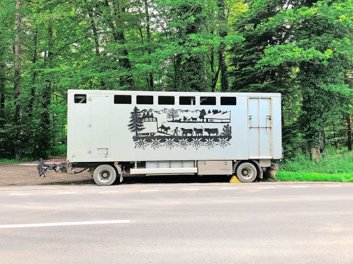5c1cde89990407abb9f08045cbf8168d3888647e7ec3738de27dfdf4d356d895 Tierhalter sind für den tierschutzkonformen Transport ihrer Tiere verantwortlich. Dazu gehört, weitere Beteiligte über Krankheiten und Verletzungen in Kenntnis zu setzen.