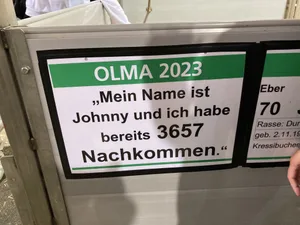 Hier hat jemand bereits einige Nachkommen gezeugt.