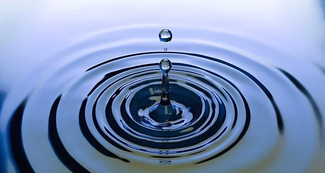 7541a280c9e7037745cdf48f8152a93570a73c41 Abbauprodukte des Wirkstoffes Chlorothalonil gelangten ins Grundwasser. (Symbolbild Pixabay)