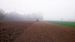 Weizenflächen sind nach der schlechten Ernte 2021 gesucht.