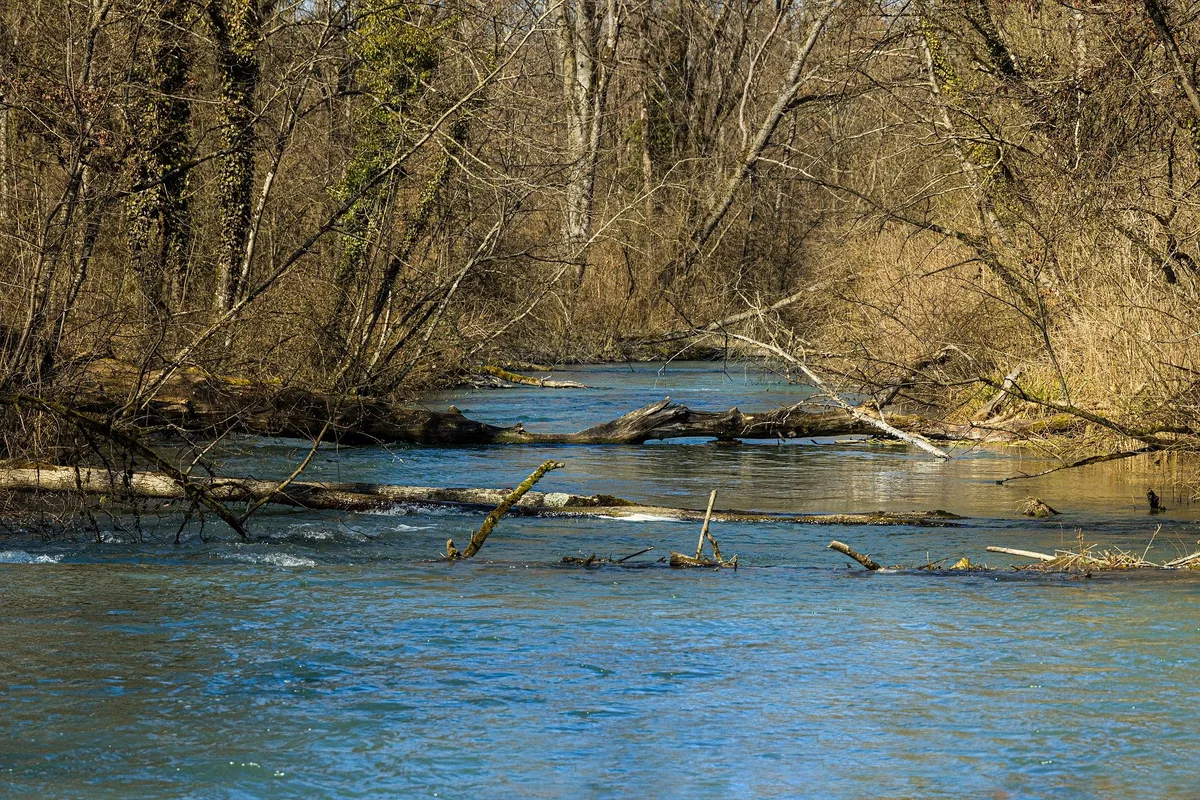 aare-4944036_1920 Vier Schweizer Seen mit historisch tiefen Wasserständen