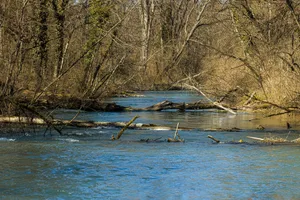 Die Aare und die Limmat weisen aktuell tiefe Pegelstände auf, wie sie nur alle zwei bis fünf Jahre zu beobachten sind.