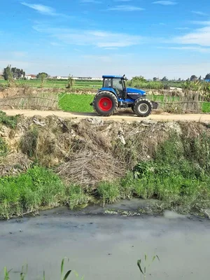 Einer der Nebenkanäle des Nils: Das Wasser ist milchig-weiss.