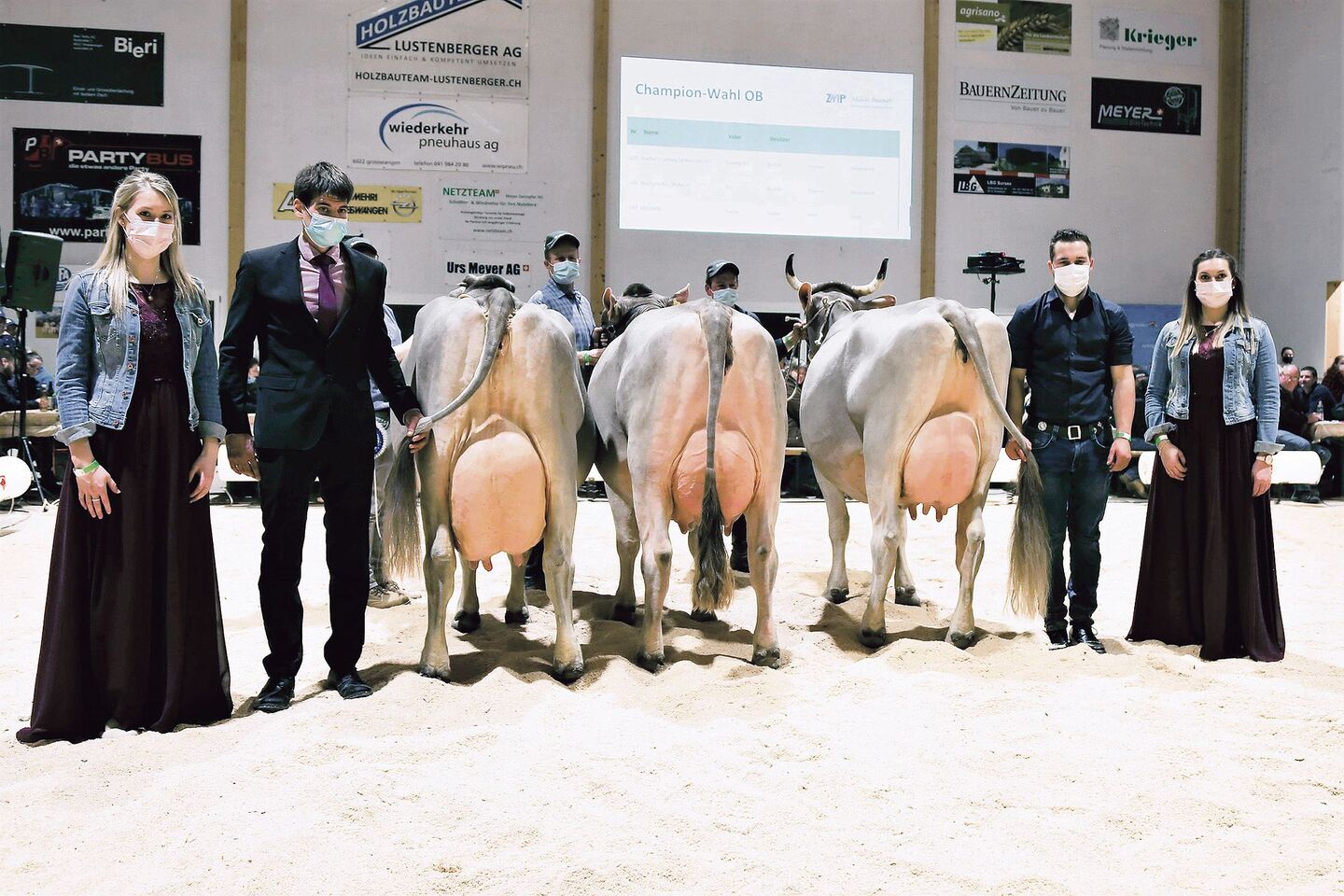 Die schönsten OB-Kühe der Lubra (von links): Champion Geraldine, die Vize Orina (beide von Thomas Bucher) und die Mention Honorable Holdria von René Stalder.