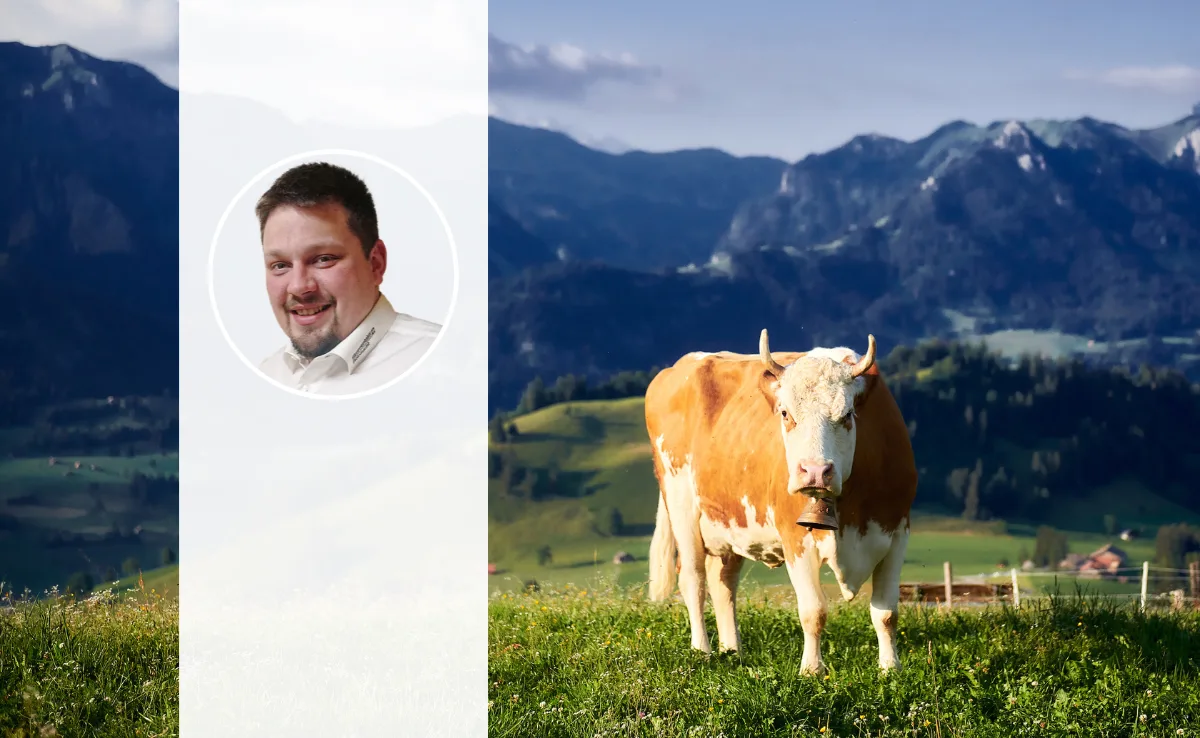 Nachgefragt_DG Porträt von Martin Liechti neben einer Simmentaler Kuh auf der Weide.