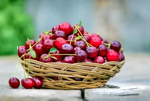 Noch ist es nicht so weit, aber die Vorfreude auf Schweizer Kirschen wächst – genauso wie die süssen Früchte am Baum. (Bild Pixabay)