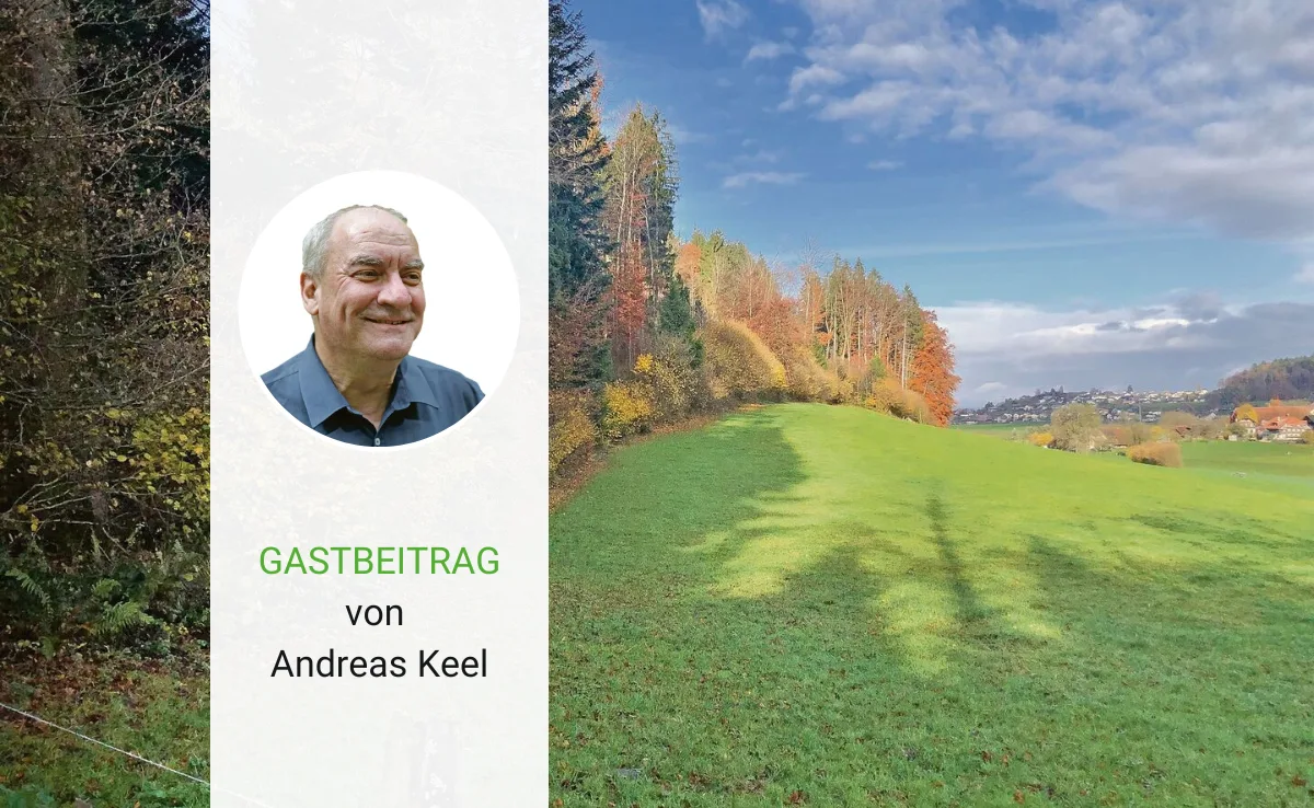 Gastbeitrag_Holz Mit der Kaskadennutzung von Holz sieben Fliegen aufs Mal schlagen