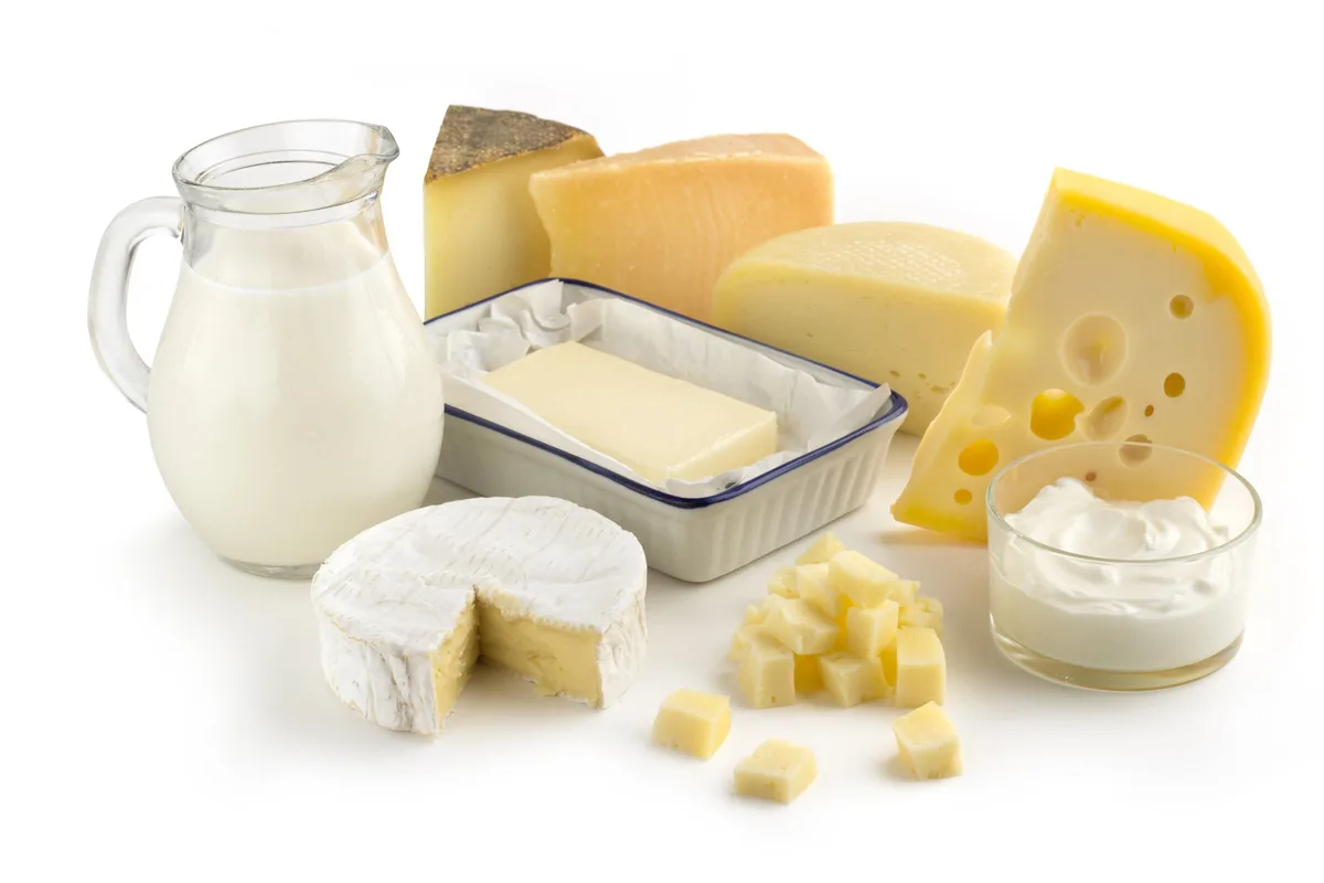AdobeStock_68113034 assortment of milk products