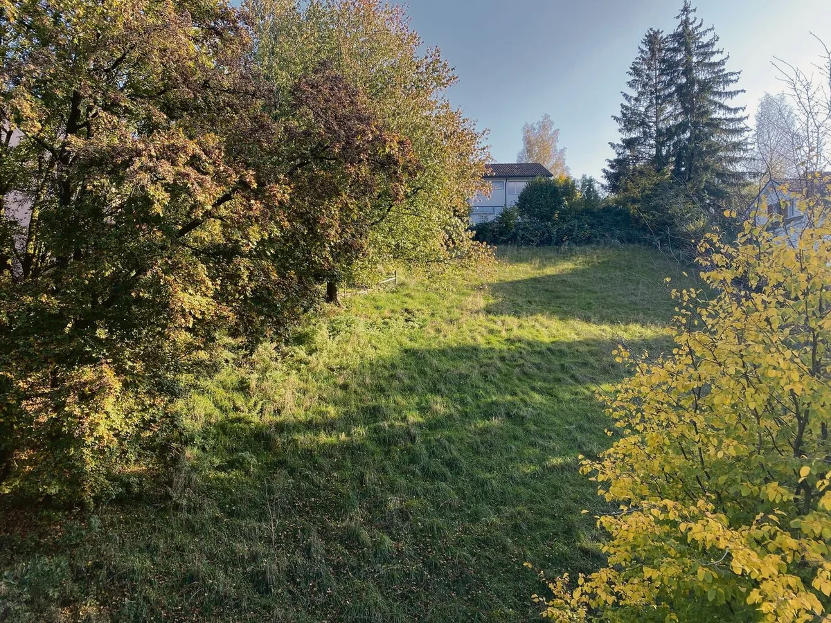 7f5bebd2718d5e8da65d96c8398c95b653816c249de3366d284cba81a2c72ac6 Bereits um halb fünf Uhr abends ziehen sich die Schatten der Bäume und Häuser lang über die Weide: Der Sonnenstand und die Tageslänge sind Mitte Oktober deutlich anders als im Hochsommer. Das beeinflusst das Temperaturverhalten massgeblich.