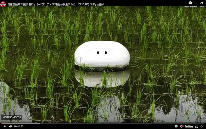 6bee455b68cff2b86e7d4931ead5eeb5e6b104ec Traditionell verwendet man in Japan echte Enten beim Reisanbau. Sie fressen nicht nur das Unkraut, sondern auch Ungeziefer. Jetzt macht ein Roboter den Enten ihre Arbeit streitig. (Bild Screenshot Youtube 日産自動車株式会社)