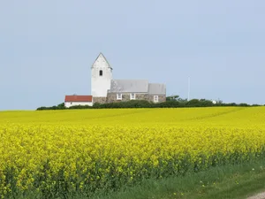 Kulturlandschaft in Dänemark. (Symbolbild Pixabay)