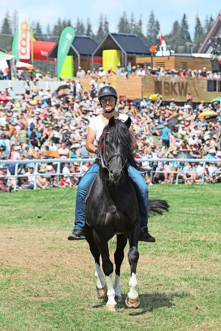 31d949bd0339a1dab63bbde8a7d407f9446da5a6b09427d3189425a7c1729e30 Am Marché Concours in Saignelégier: Für Brigitte Favre ist der Freibergerhengst Hayden (Houston/Eiger) ein ganz spezielles Pferd.