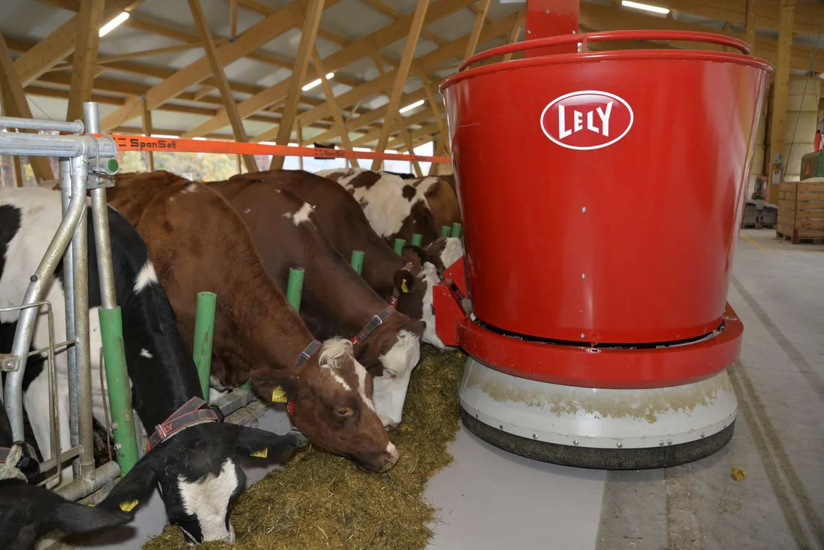 b6bd652198aa6b07767b158e4bbbb380e07c2fd3 Ein Fütterungsroboter im Einsatz. (Bild Aline Küenzi)