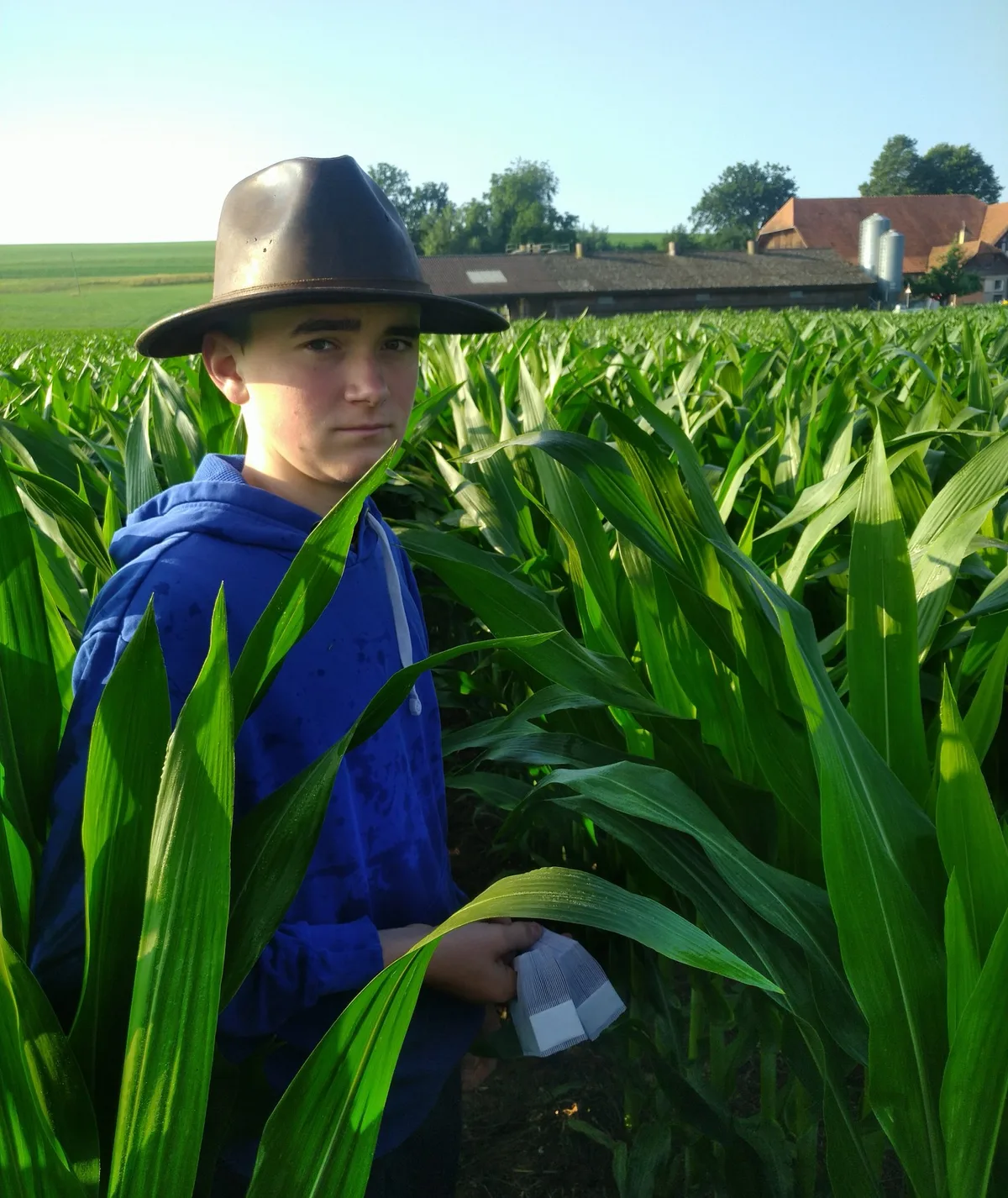 Der Weg zum Landwirt: Marco Schaller über Motivation und Herausforderungen