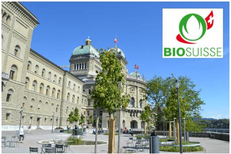 Beim Thema Pflanzenschutz schienen bei Bio Suisse die Meinungen auseinander zu gehen. (Bild jsc)
