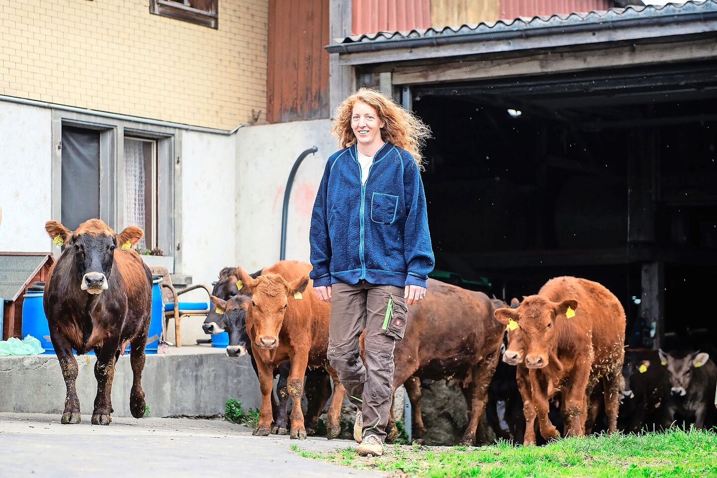 Auf dem Biobetrieb von Lisabeth Braus-Brunner leben unter Anderem 20 Mutterkühe und ein Stier. Ein Teil des Fleisches verkauft sie per Direktvermarktung.