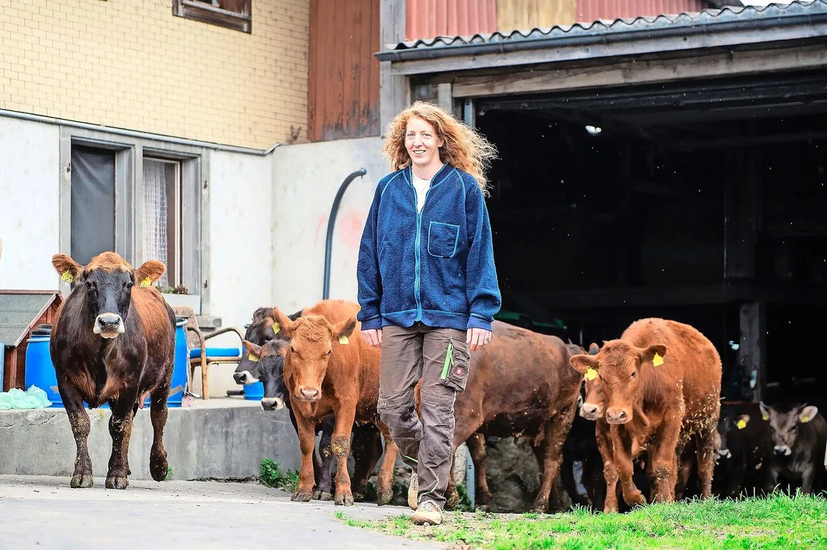 Auf dem Biobetrieb von Lisabeth Braus-Brunner leben unter Anderem 20 Mutterkühe und ein Stier. Ein Teil des Fleisches verkauft sie per Direktvermarktung.