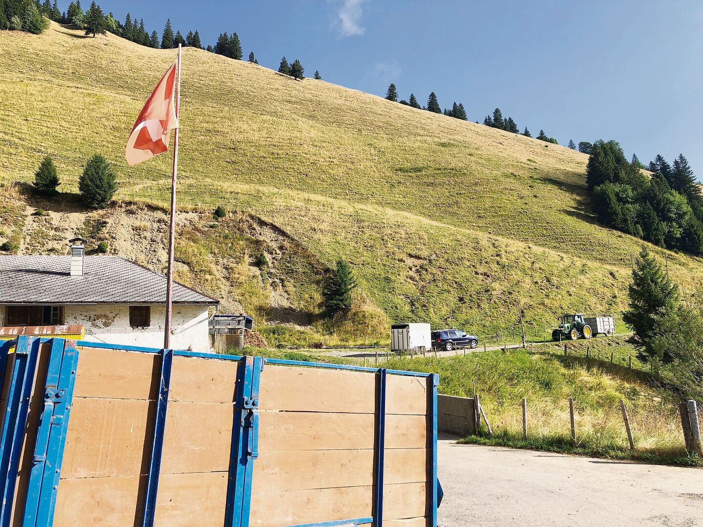 Anhänger statt Blumenbouquets: Um die Kühe nicht noch mehr zu belasten, wurden sie verladen und nach Hause chauffiert.