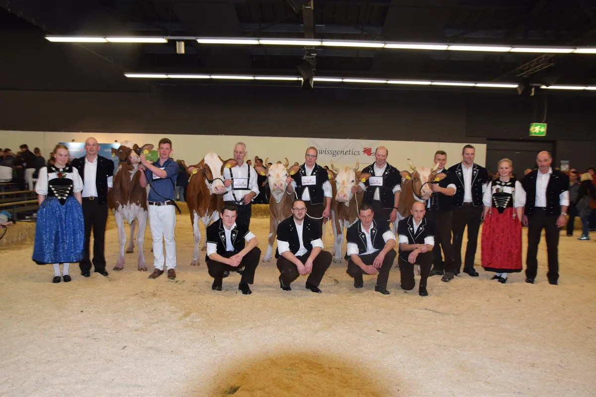 a479c764e55287da38e0660786b2658a80c048e0 Heuer gibts leider keine solchen Bilder wie hier 2019: Die Berner Oberländische Verbandsschau wird abgesagt. (Bild Archiv)