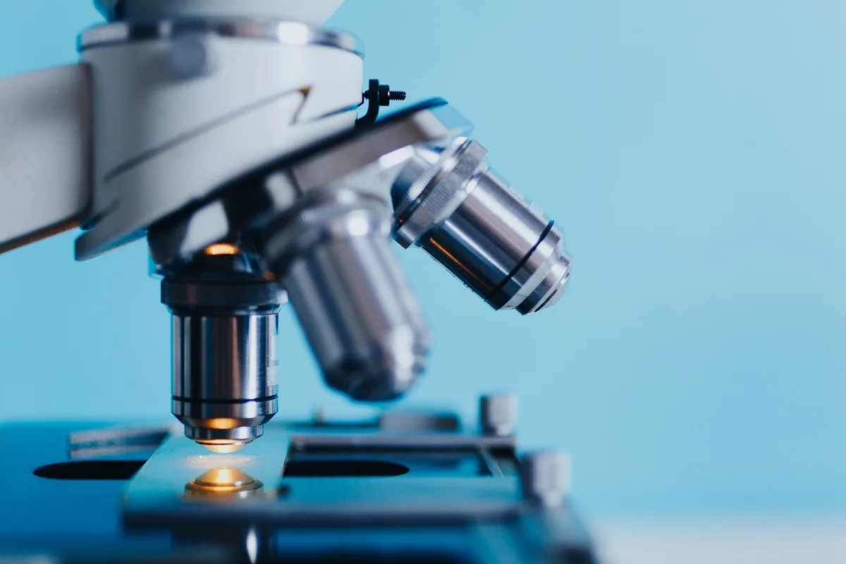 193a98594ecfbb854933dcaed55d47113ca62c12 Die Nanotechnologie hat viel Potenzial in der Landwirtschaft. (Bild Konstantin Kolosov/pixabay)