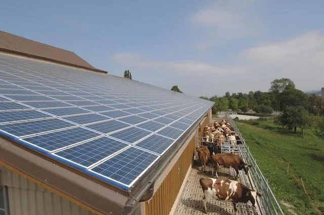 c4d1e4582a036ce7d1ff7326c63cda1e89283ddc Ganzflächige Photovoltaik-Anlagen auf landwirtschaftlichen Betrieben sollen die Schweiz der Energiewende einen Schritt näher bringen. Das Bild von einem Betrieb in Barberêche FR zeigt, wie dies aussehen könnte. (Bild Solar Agentur Schweiz, Schweizer Solarpreis 2006)