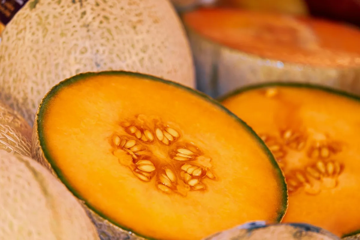 melon-gf7ea470cb_1920 Die Melone – das Gemüse zum Durst löschen