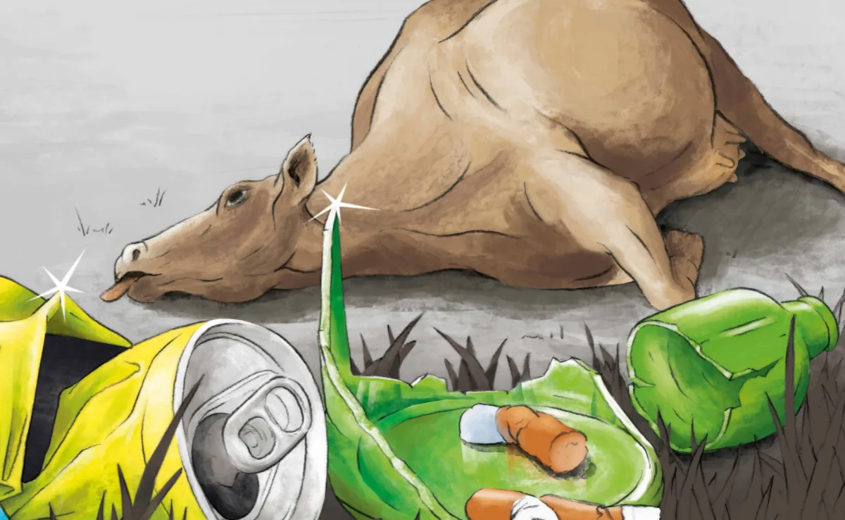 Anti-Littering_SBV So sehen die neuen Plakate gegen Littering aus