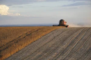 In Landwirtschafts-Kreisen befürchtet man Ertragseinbussen und fordert, die Auswirkungen der geplanten Massnahmen müssten vor der Zielfestlegung weiter bewertet werden. (Symbolbild Pixabay)