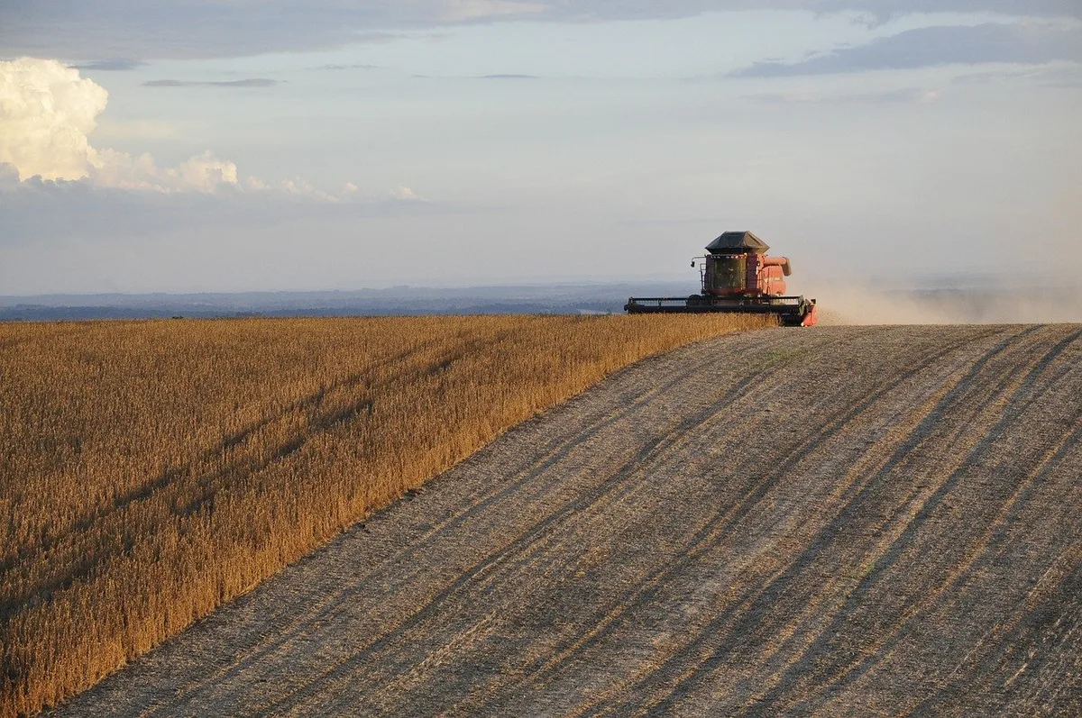 bc6ec31bb3ff2857e667b317bcfe04efc4ff7d8c In Landwirtschafts-Kreisen befürchtet man Ertragseinbussen und fordert, die Auswirkungen der geplanten Massnahmen müssten vor der Zielfestlegung weiter bewertet werden. (Symbolbild Pixabay)