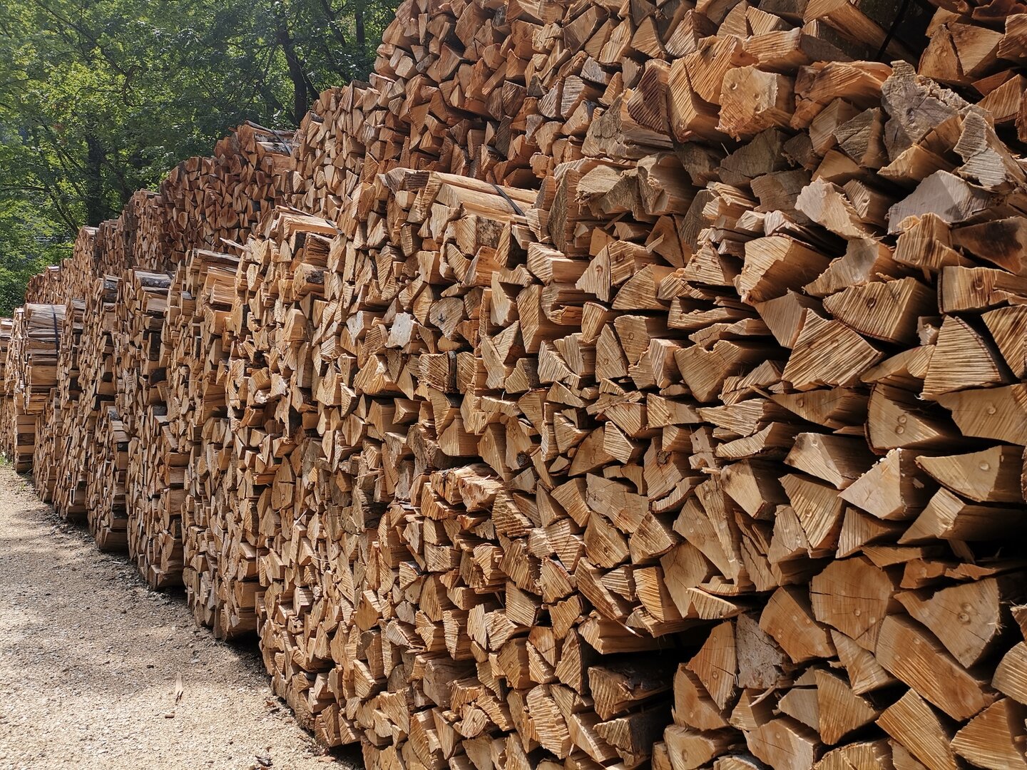 Holz ist gefragt, die Waldbewirtschaftung aber seit 13 Jahren defizitär