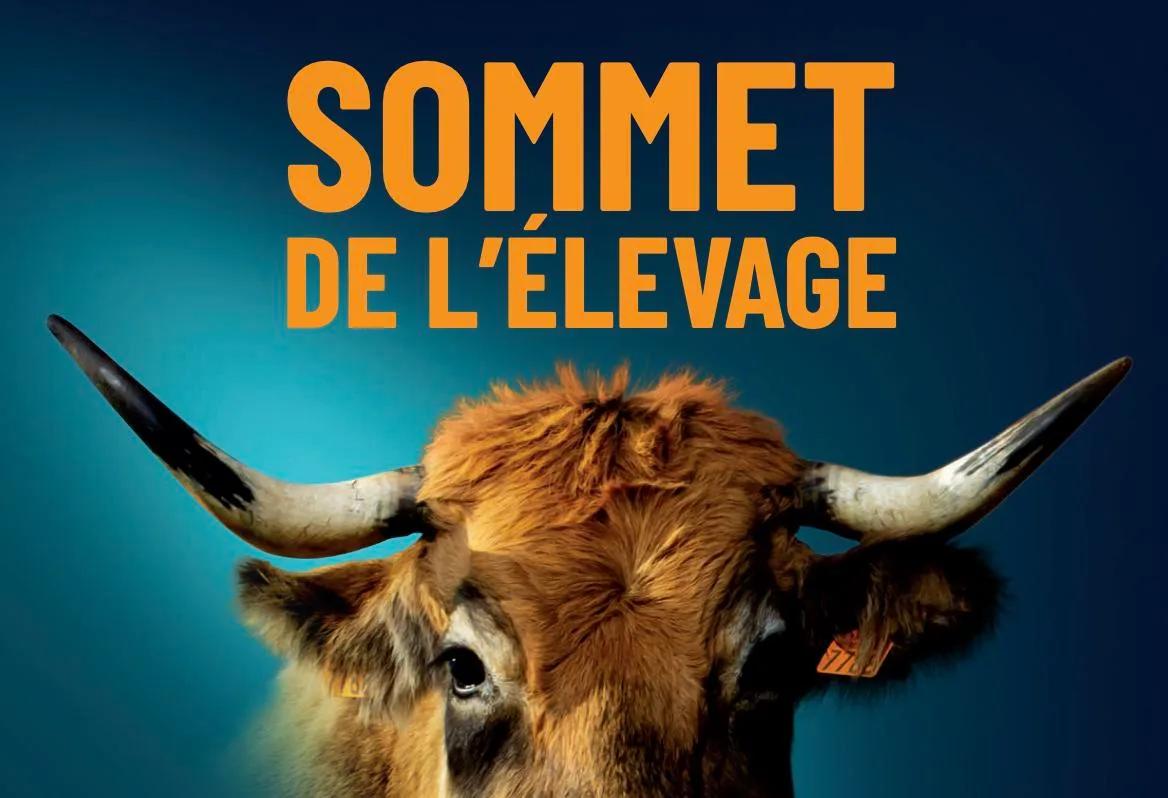 2fbbc983c255227214ad9a2d65d4e73f470fc5af Der Sommet de l'élévage wird als die Nummer-1-Viehausstellung Europas angepriesen und konnte 2019 rund 96'000 Besucherinnen und Besucher verzeichnen. (Bild Sommet de l'élévage)