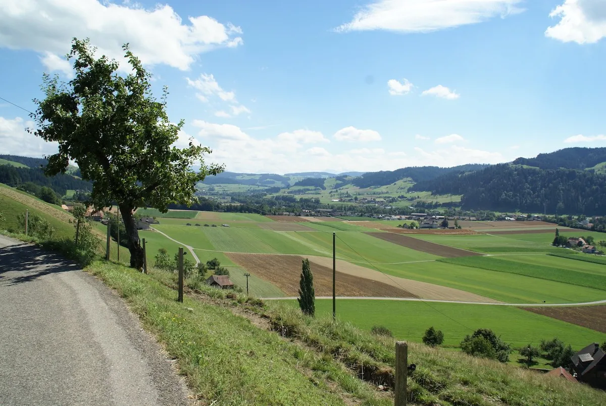 emmental_29052113053_o