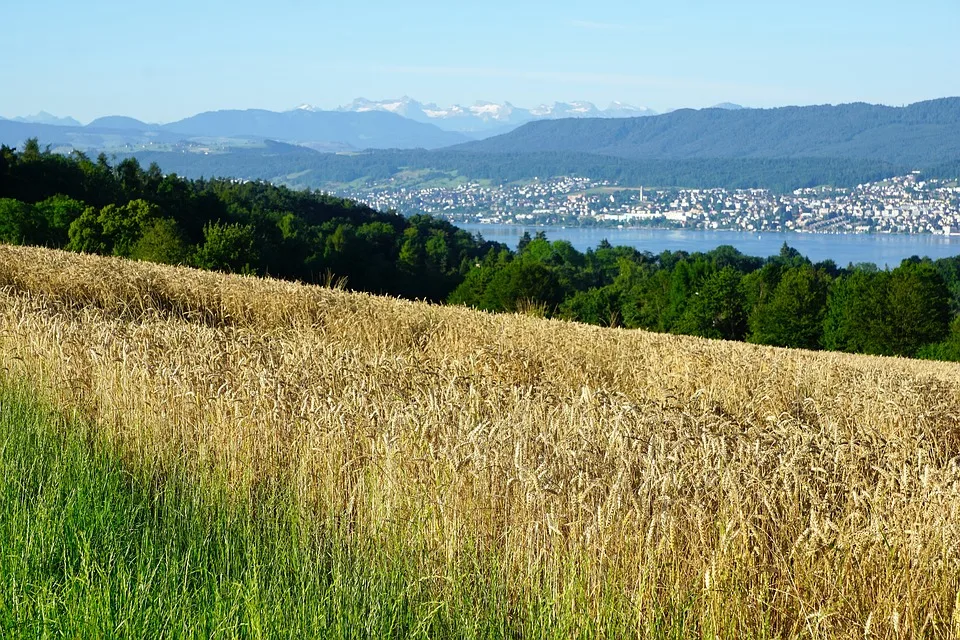 d63b64448565d209eed34da48b6536aa41e709a9 Das neue landwirtschaftliche Verordnungspaket ist verabschiedet: Das Paket umfasst insgesamt zwölf Verordnungen des Bundesrats, vier Verordnungen des Departements und einen Erlass des BLW. (Bild Pixabay)