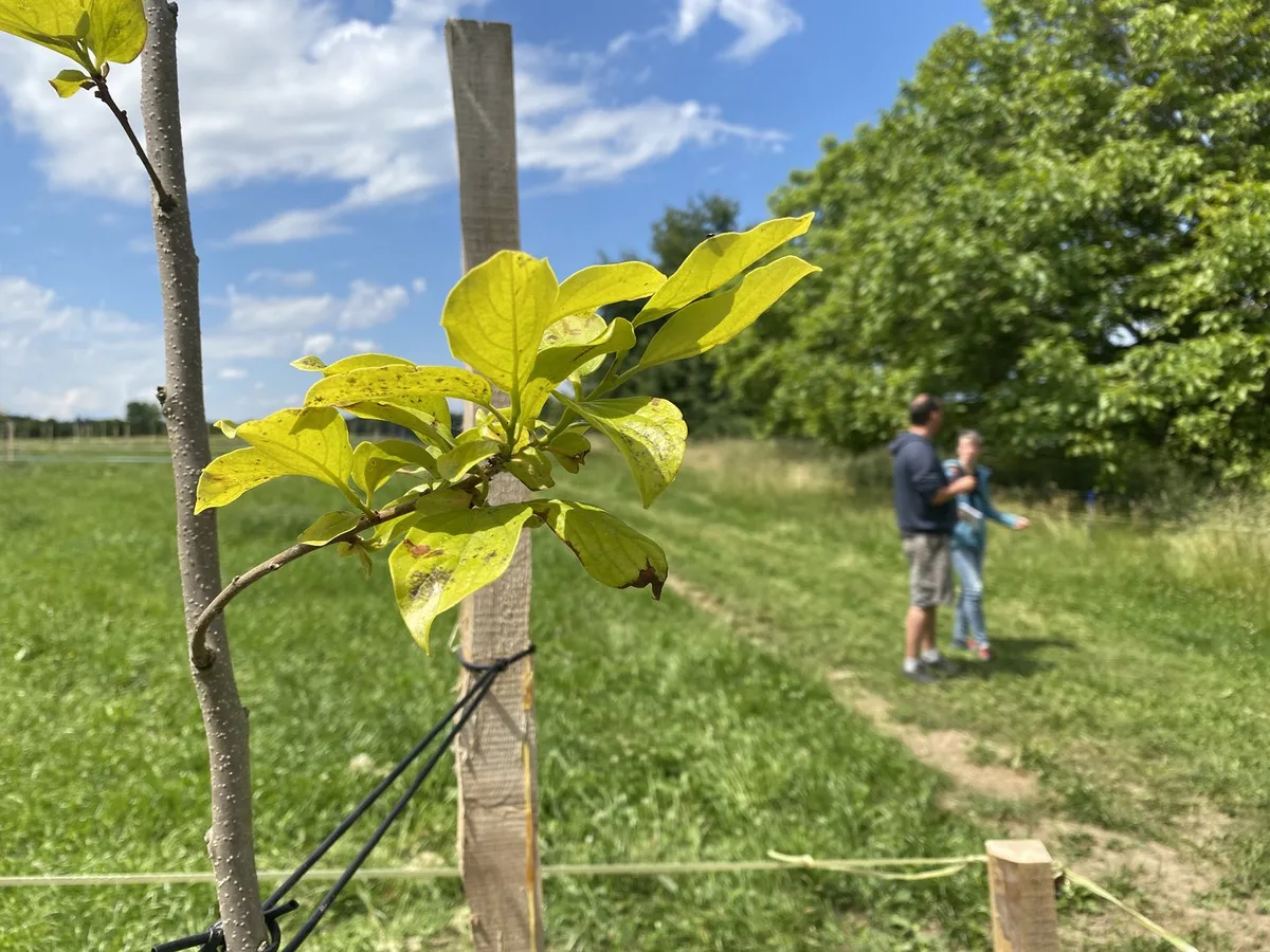 agraroekologie_1 Agrarökologie: Ein Konzept geht in den Praxisversuch auf 10 Betrieben und mit 150 Konsumenten