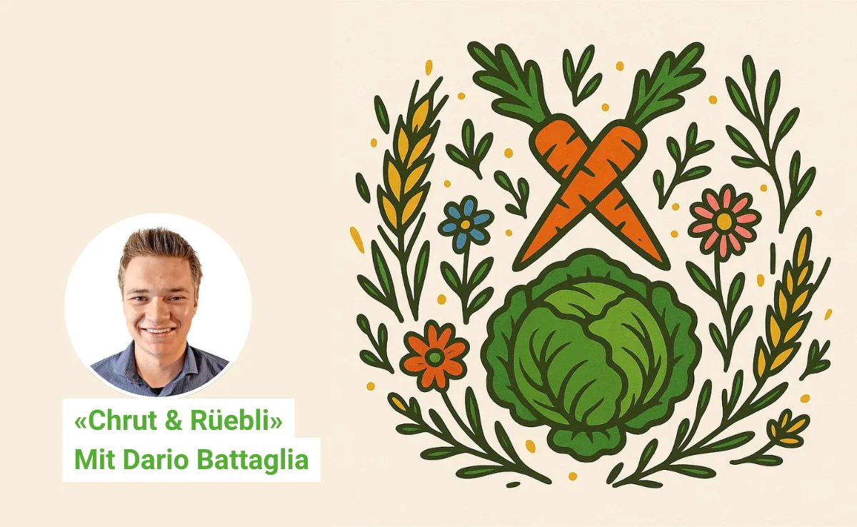 Artikel_C_R_BauZ_Battaglia «Ich werde an den Swiss Skills mein Bestes geben»