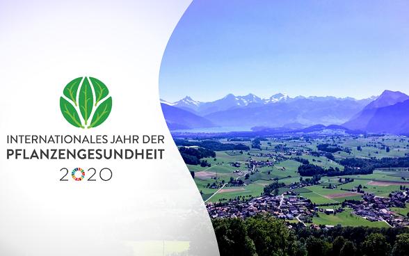 2020 wird die Pflanzengesundheit zum Thema: es ist das Internationale Jahr der Pflanzengesundheit. (Bild BLW)